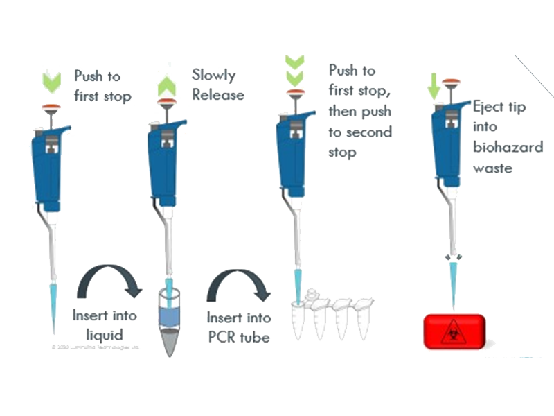 移液器工作原理大揭秘：为什么轻轻一按就能精准移液