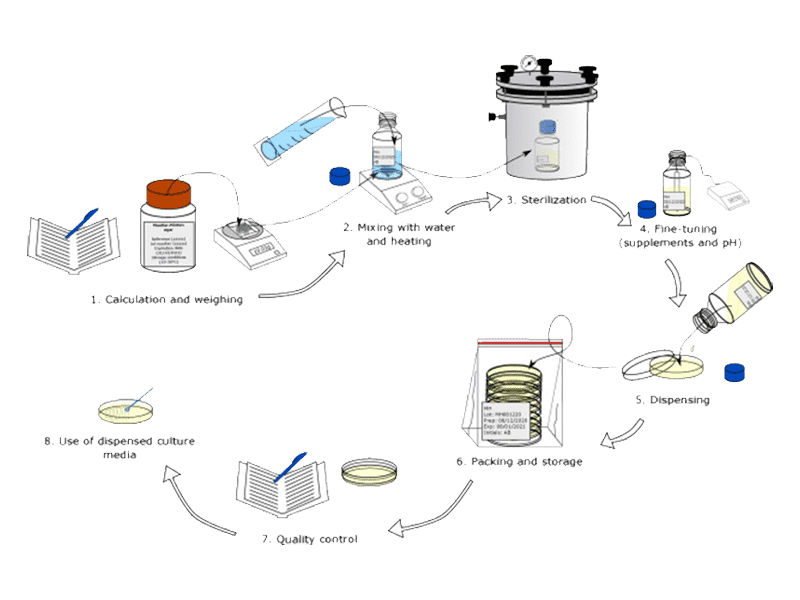 培养箱进行微生物培养的基本操作流程