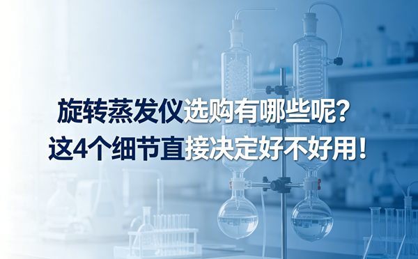 巴西风情数字营销场景图生成(2).png